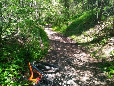 Traversée du Grand Bois du Villar