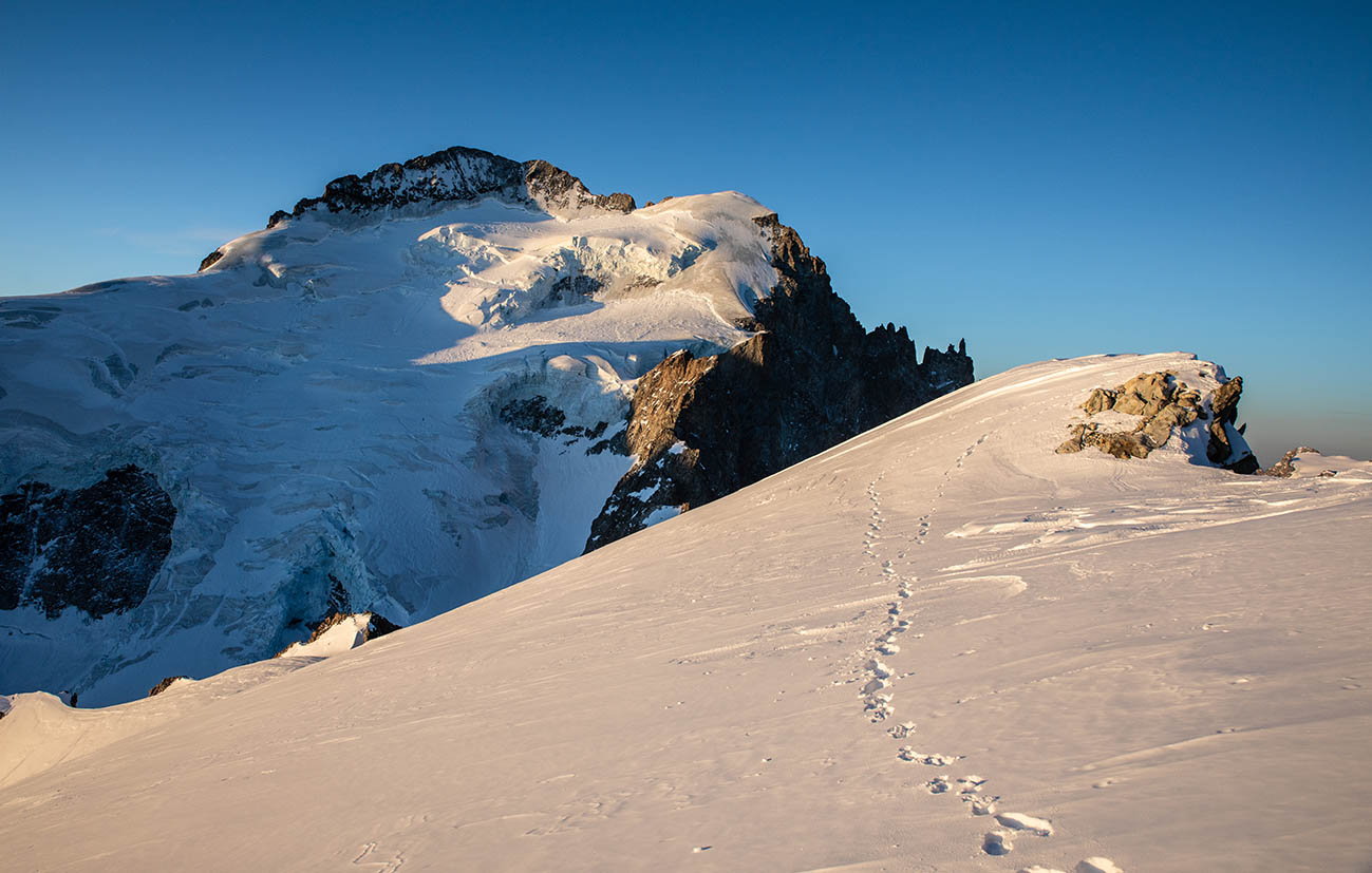 Barre des Écrins depuis Roche Faurio