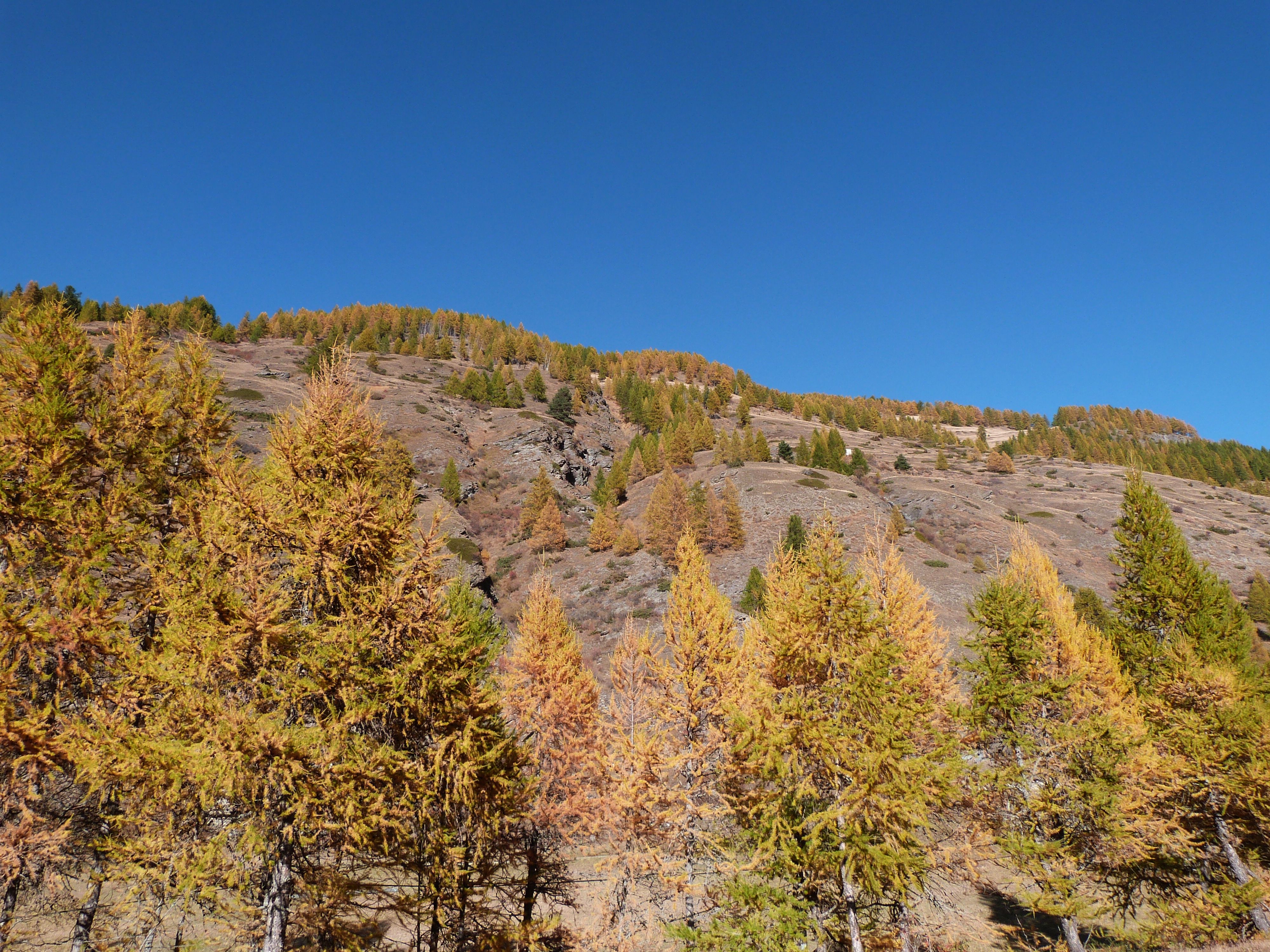 Belles couleurs d'automne