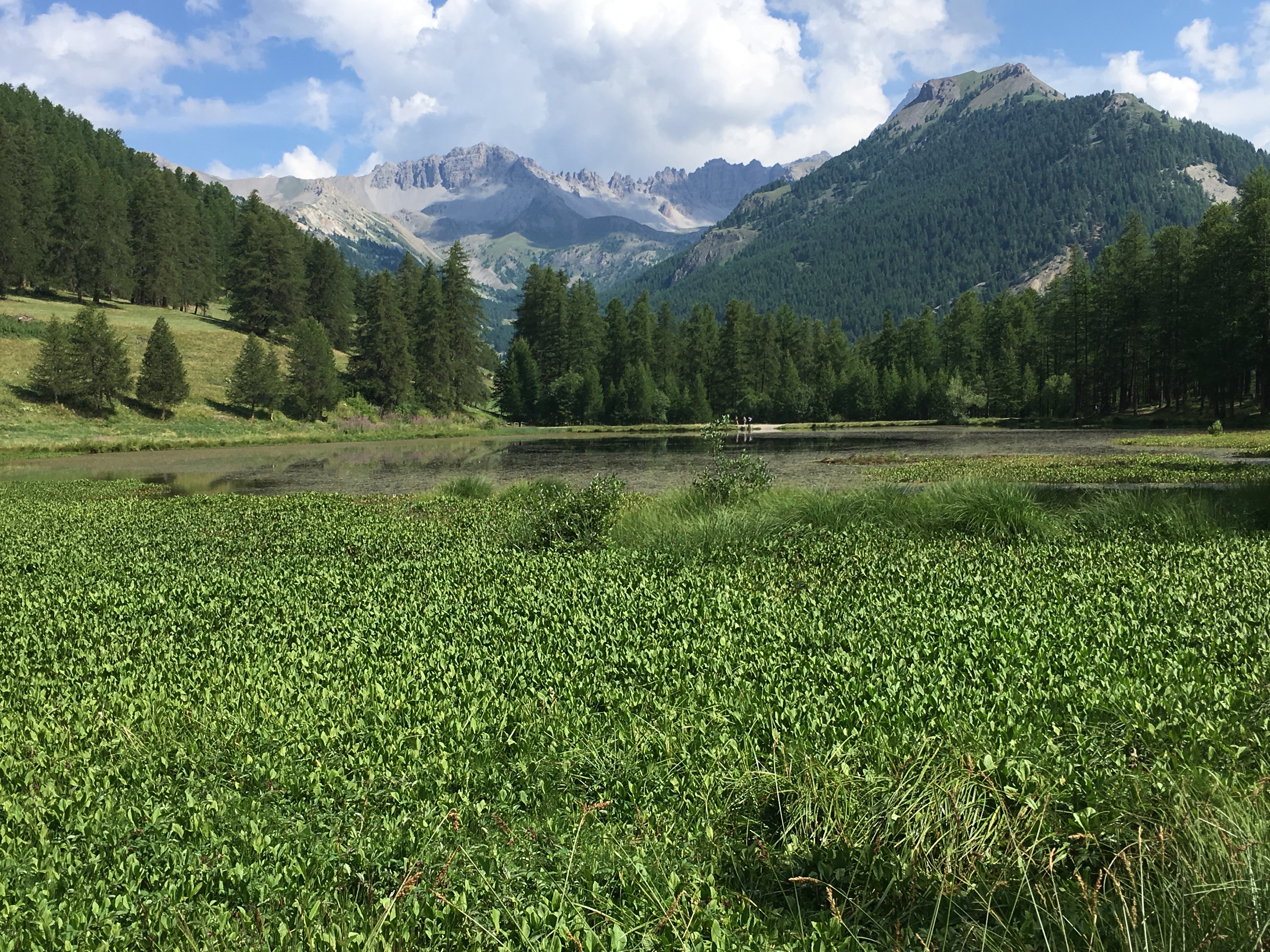 Lac de Roue