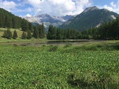 Lac de Roue