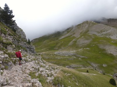 Sur les hauteurs du Col du Festre