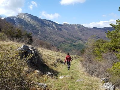 Montagne d'Aujour