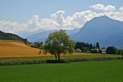 Hameau des Olliviers et Pic du Morgon