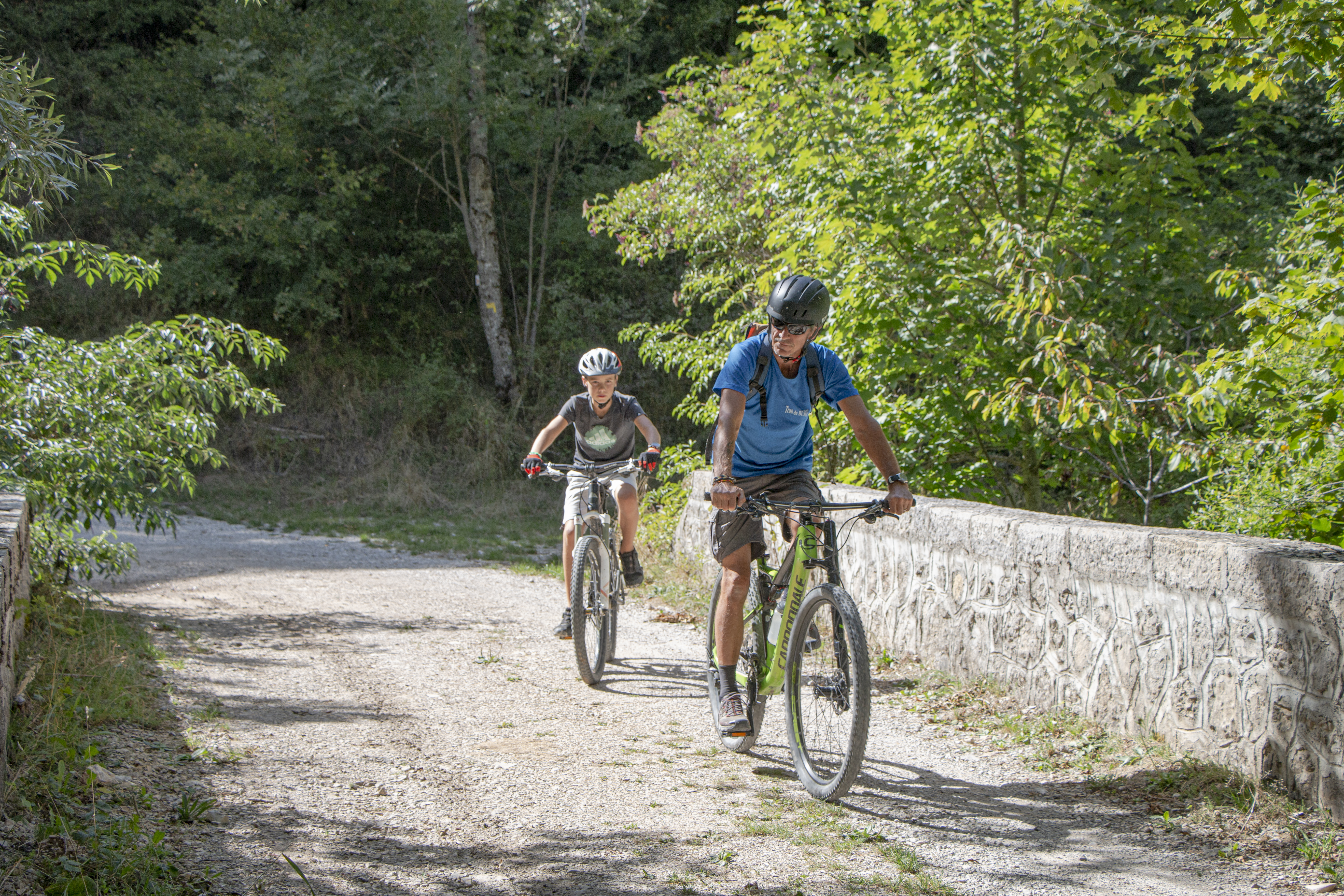 VTT dans la forêt domaniale de Durbon