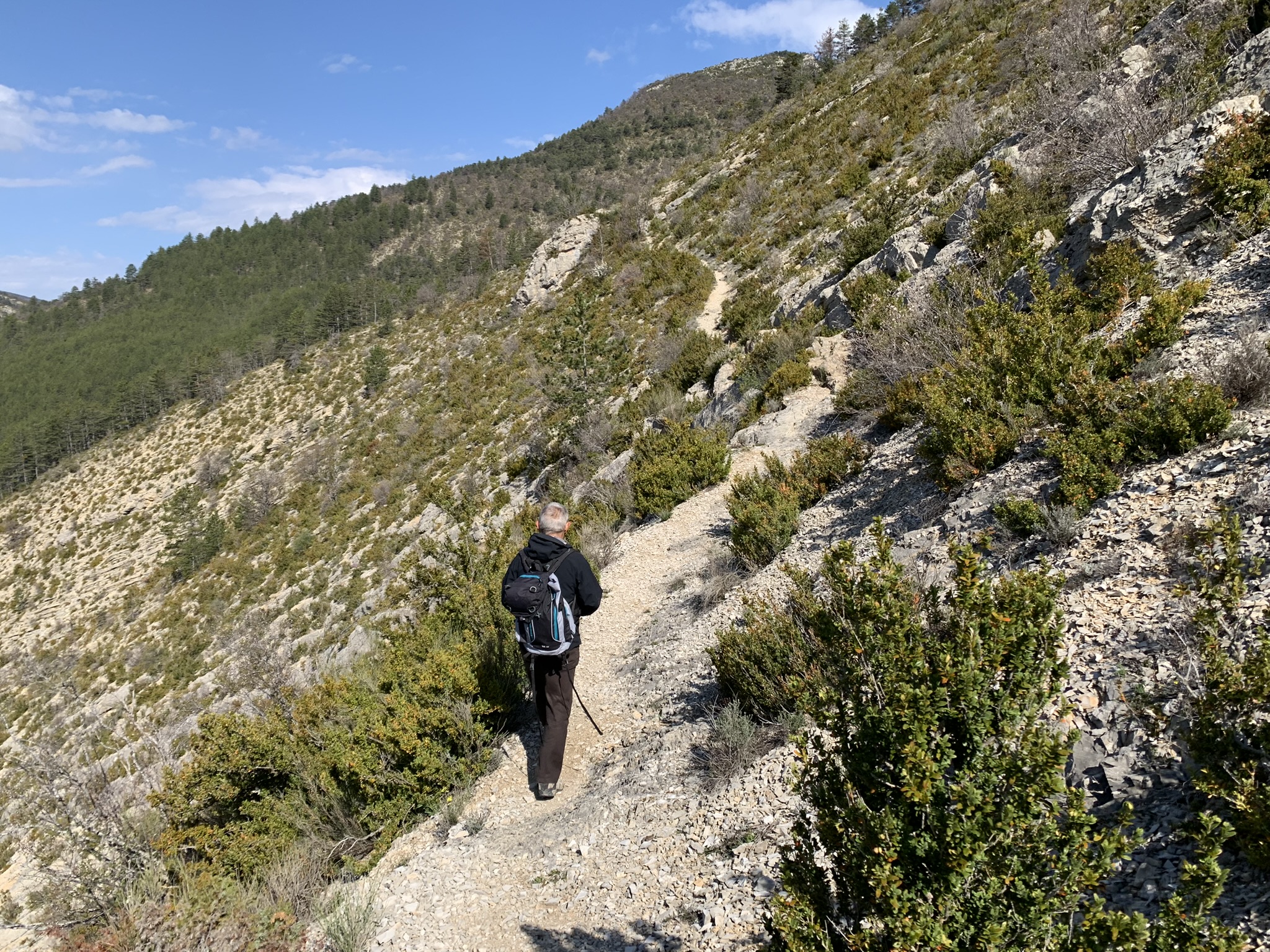 Montée en direction du Suillet