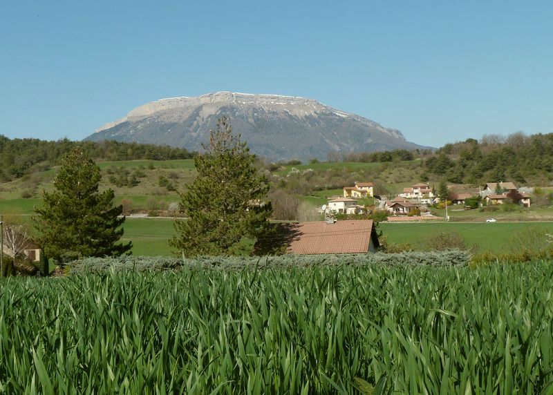 La montagne de Céüse depuis Neffes