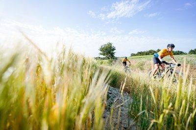 VTT champêtre en Buëch