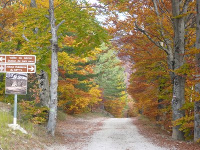 Piste vers l'abbaye de Lure