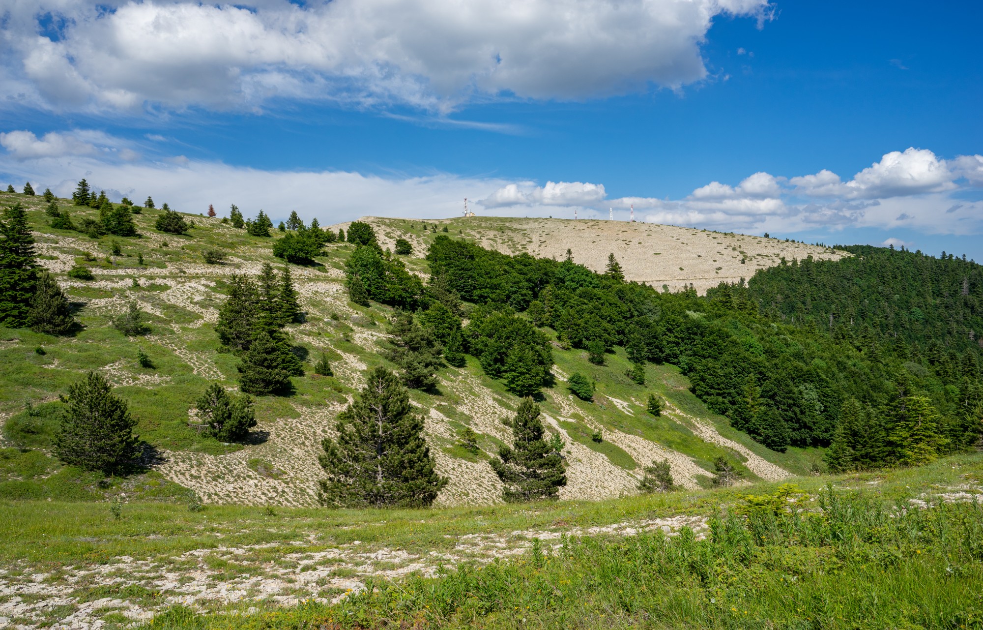 Montagne de Lure