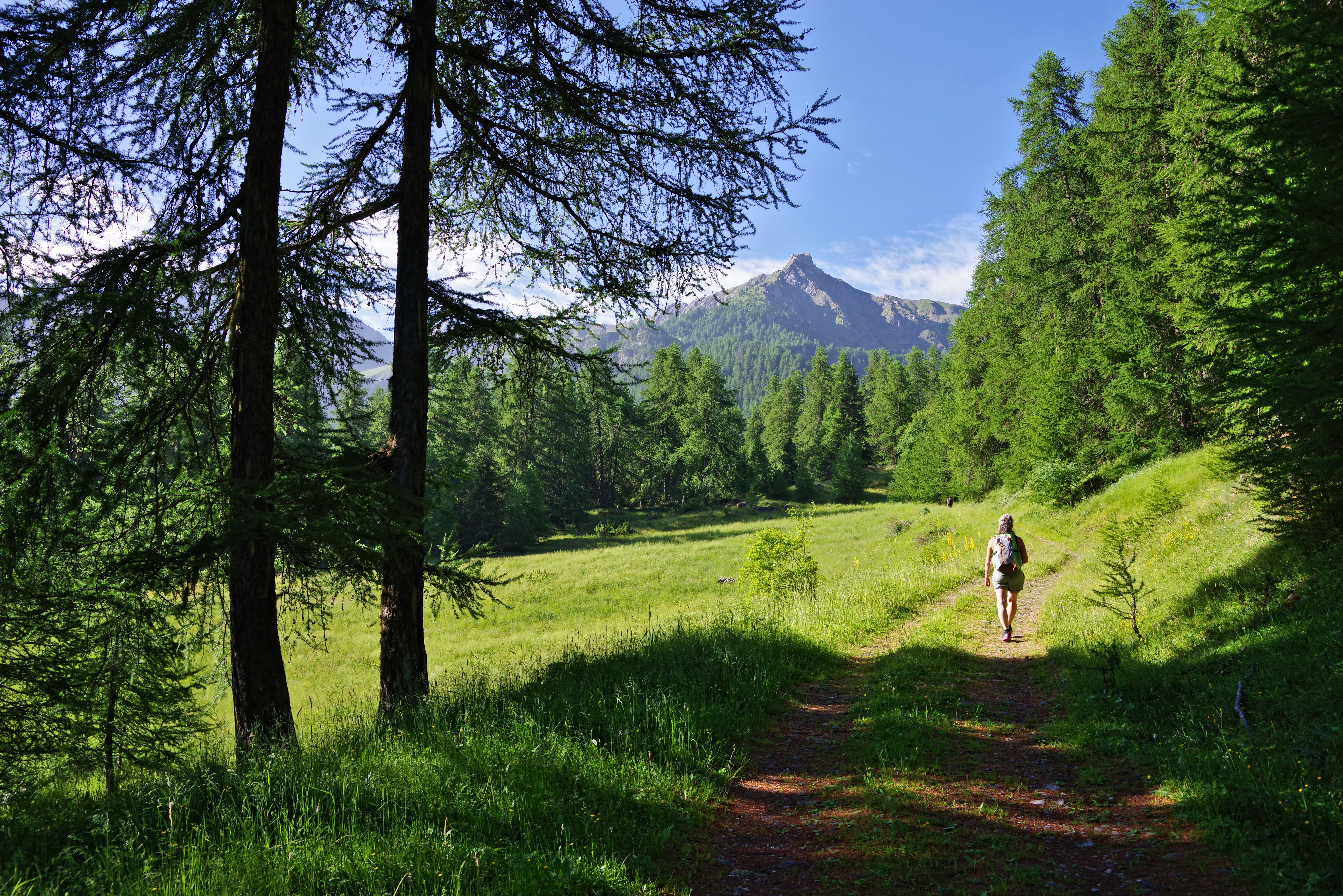 En direction du col de la Rousse