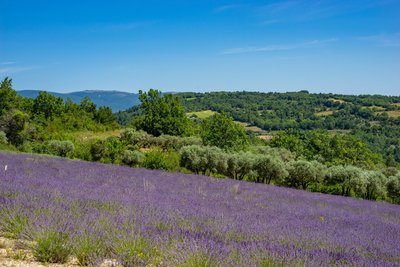 Entre Forcalquier et Fontienne