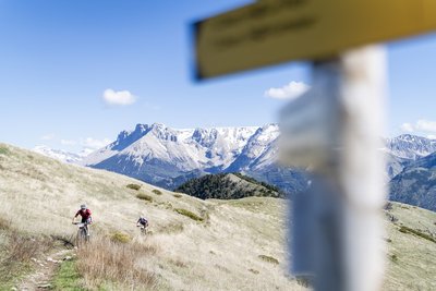 Sur la montagne de Céüse