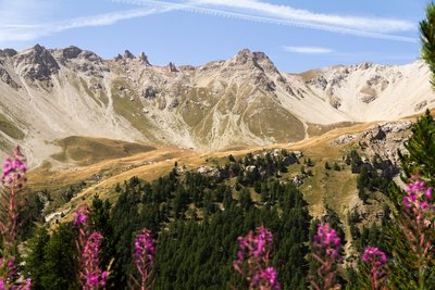 Balade sur le sentier pédagogique de la Taure + Lac d'Orceyrette