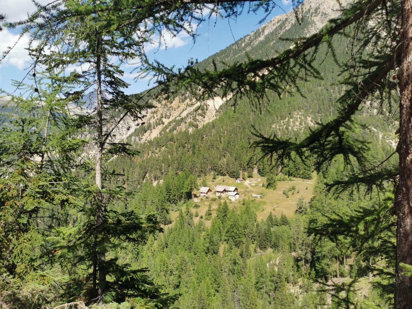 Chalets du Vallon