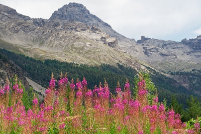 Pic de Rochebrune