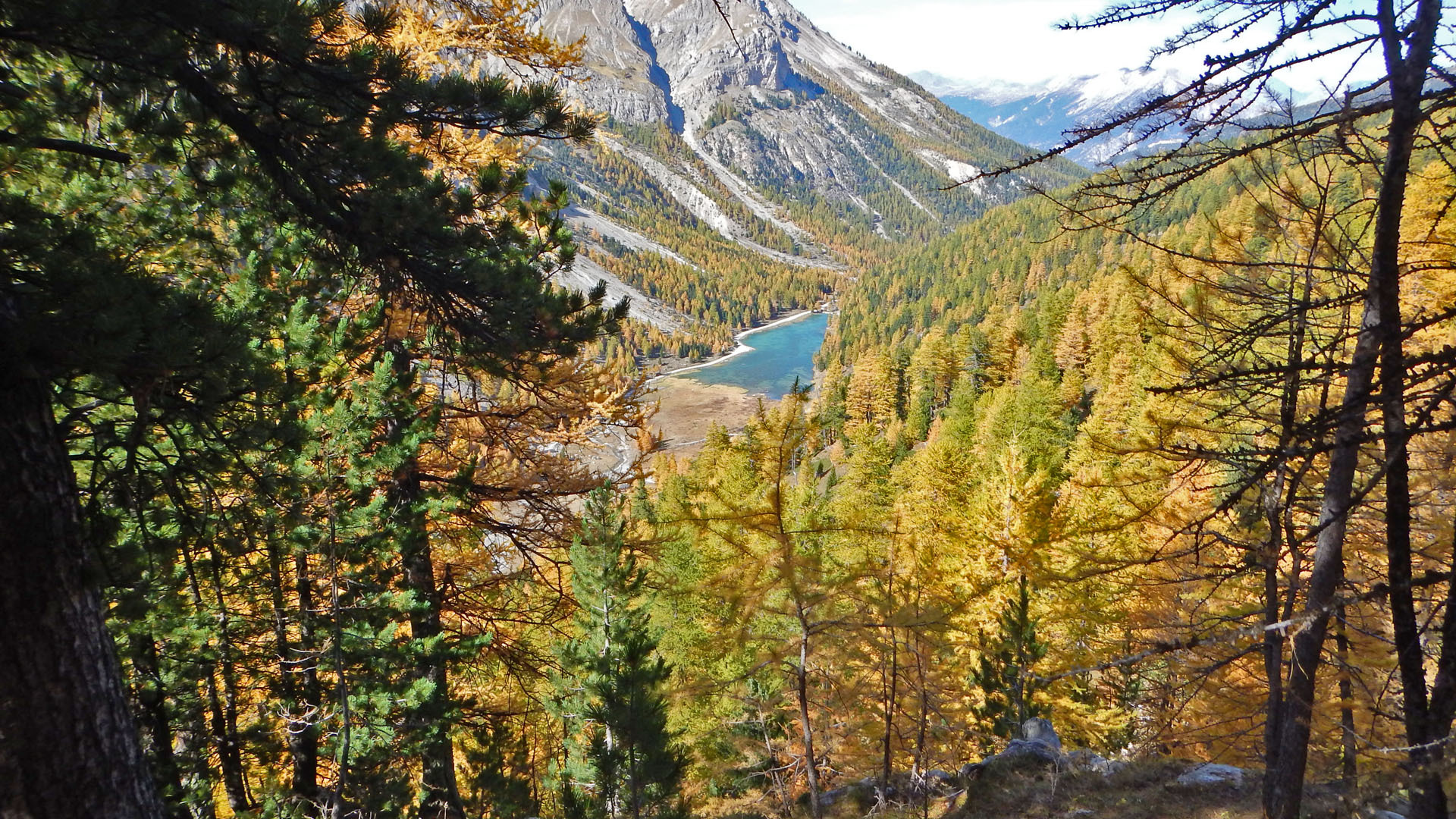 Vue depuis le sentier des chalets de la Taure