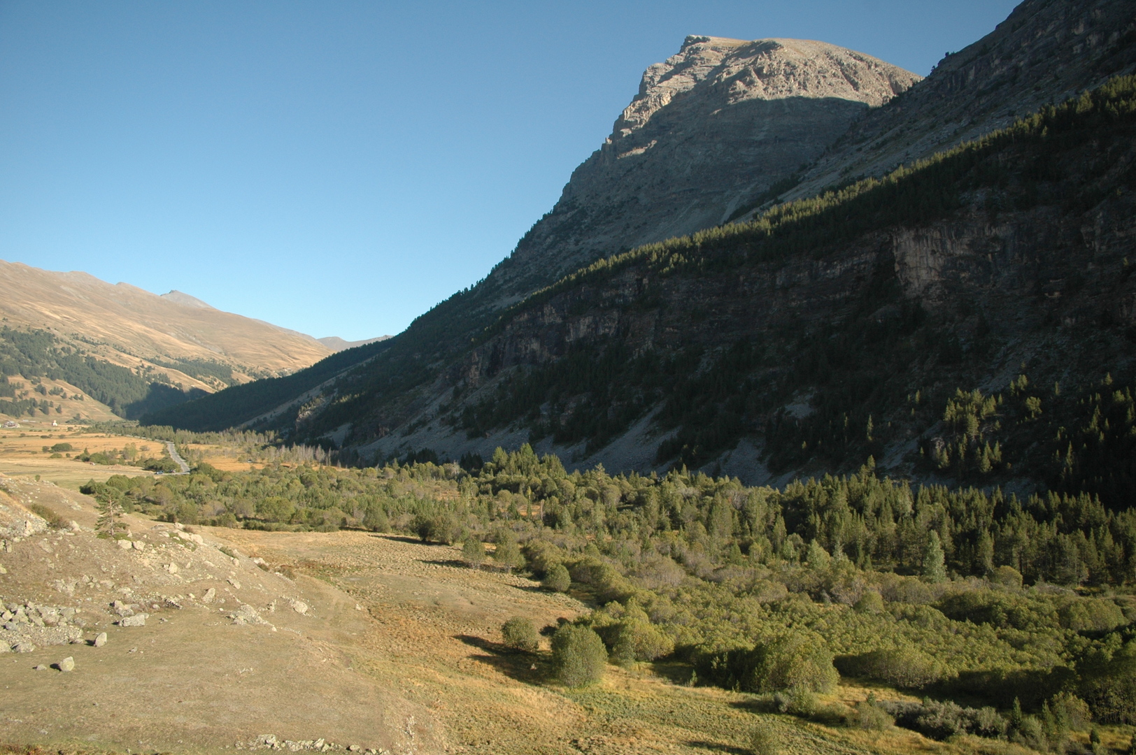 Marais du Bourget