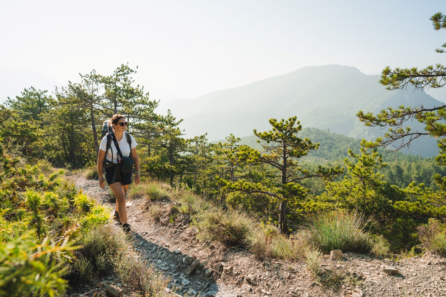 Sur les hauteurs de Villeperdrix