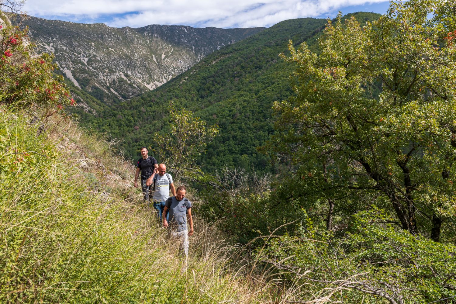 Sur les hauteurs de Serres