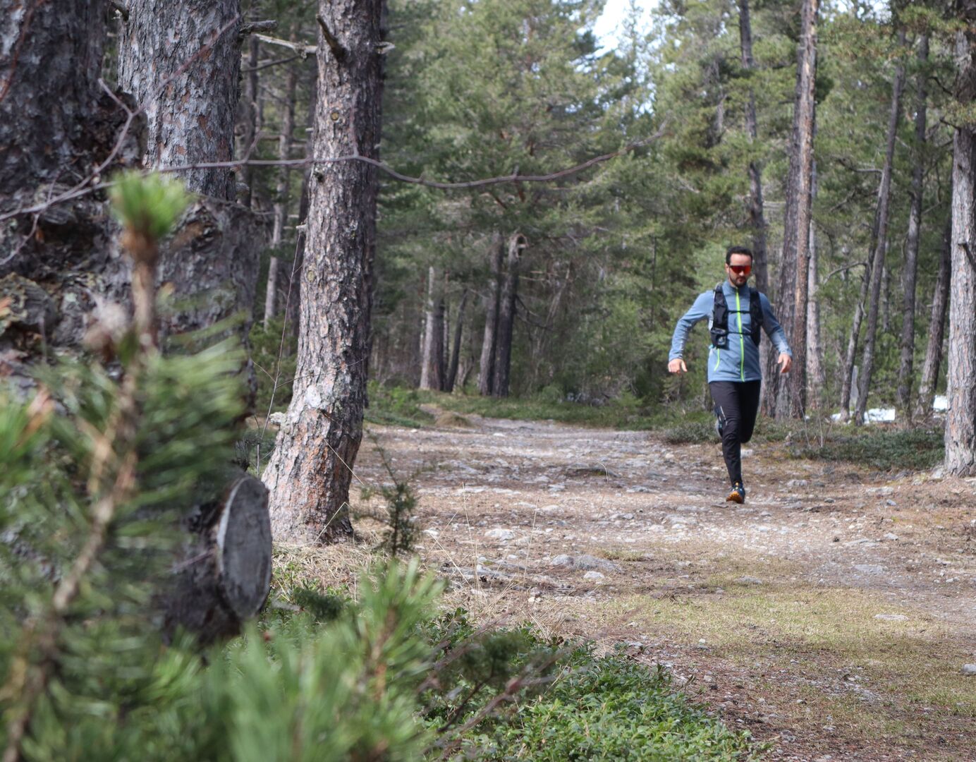 Sous-bois entre Val des Prés et Plampinet
