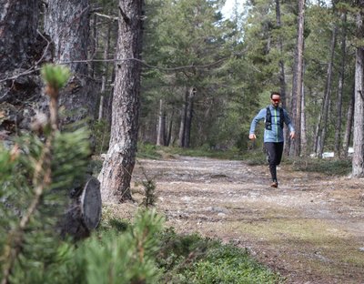 Sous-bois entre Val des Prés et Plampinet