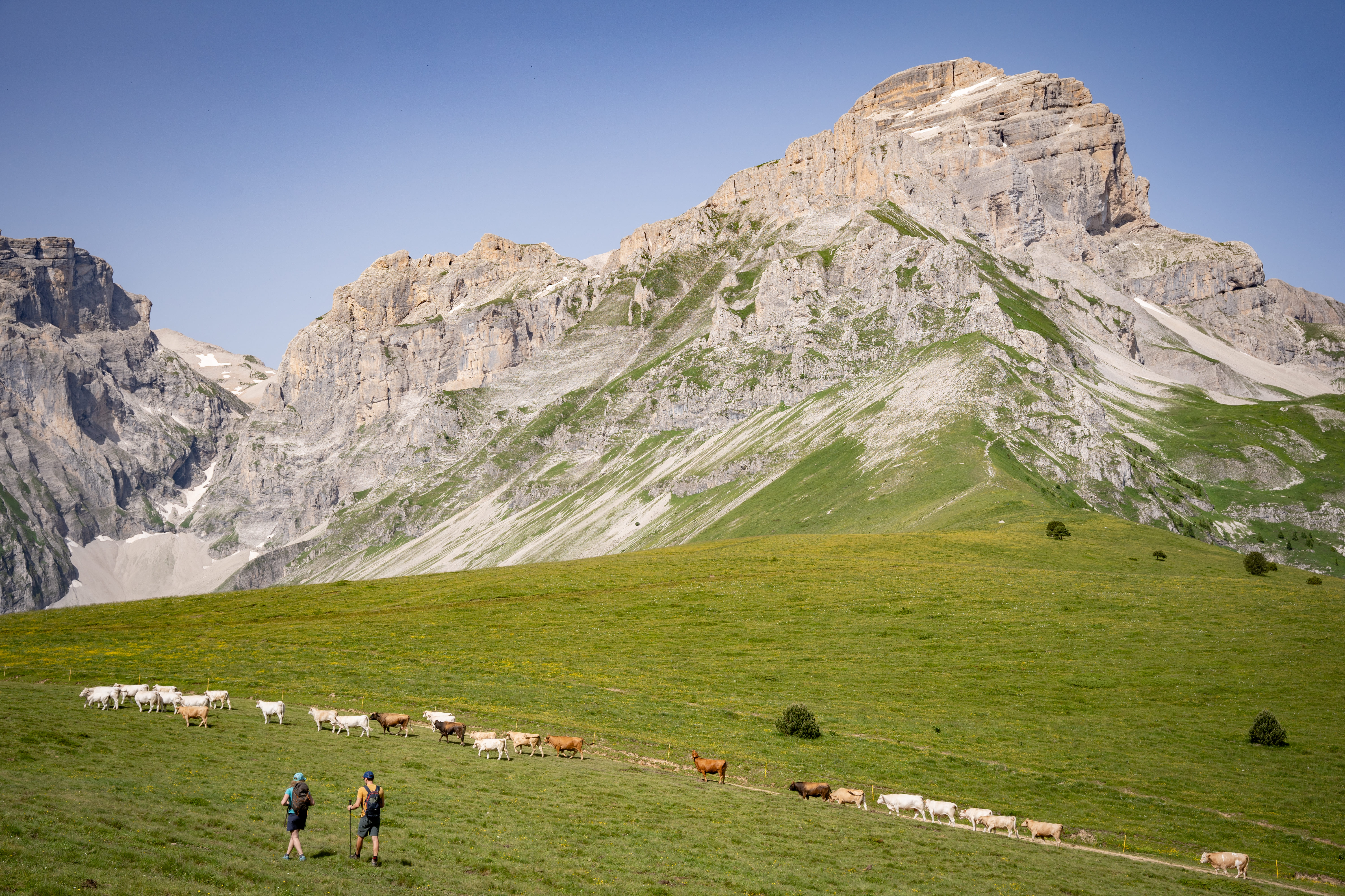 Vue sur l'Obiou depuis le col de la Samblue
