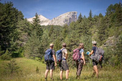 Vue sur la falaise de Roche Courbe