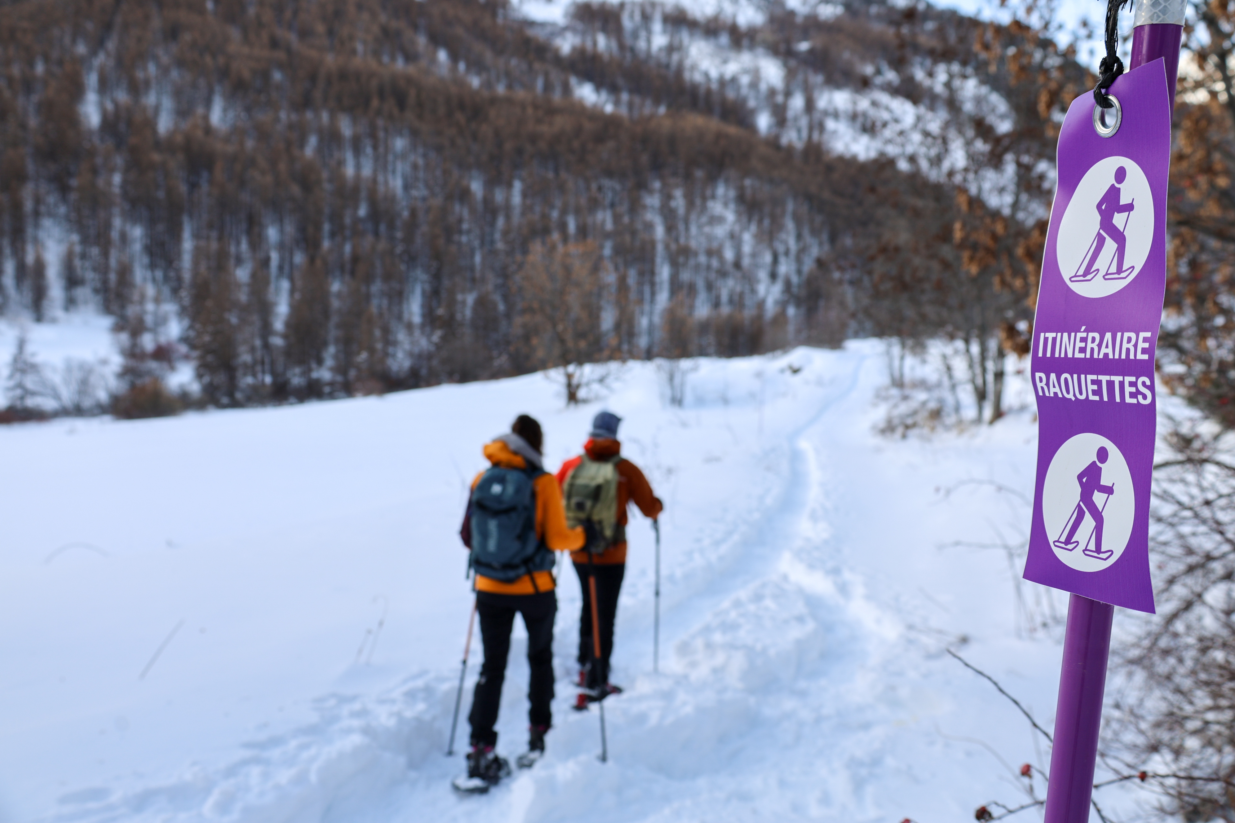 Raquettes Haute Clarée