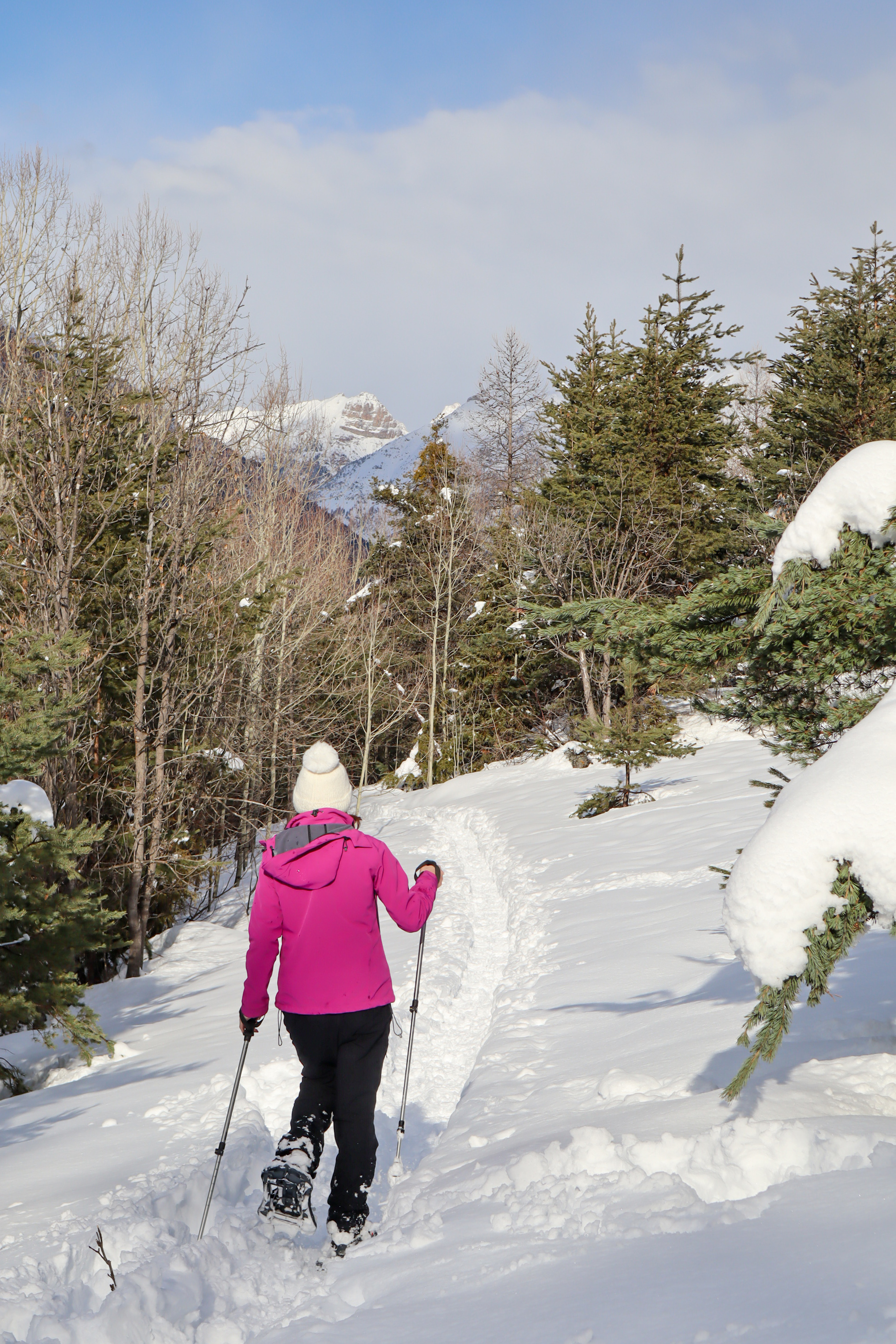 Raquettes au dessus de Villard St Pancrace