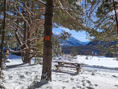 Point de vue depuis l'itinéraire balisé