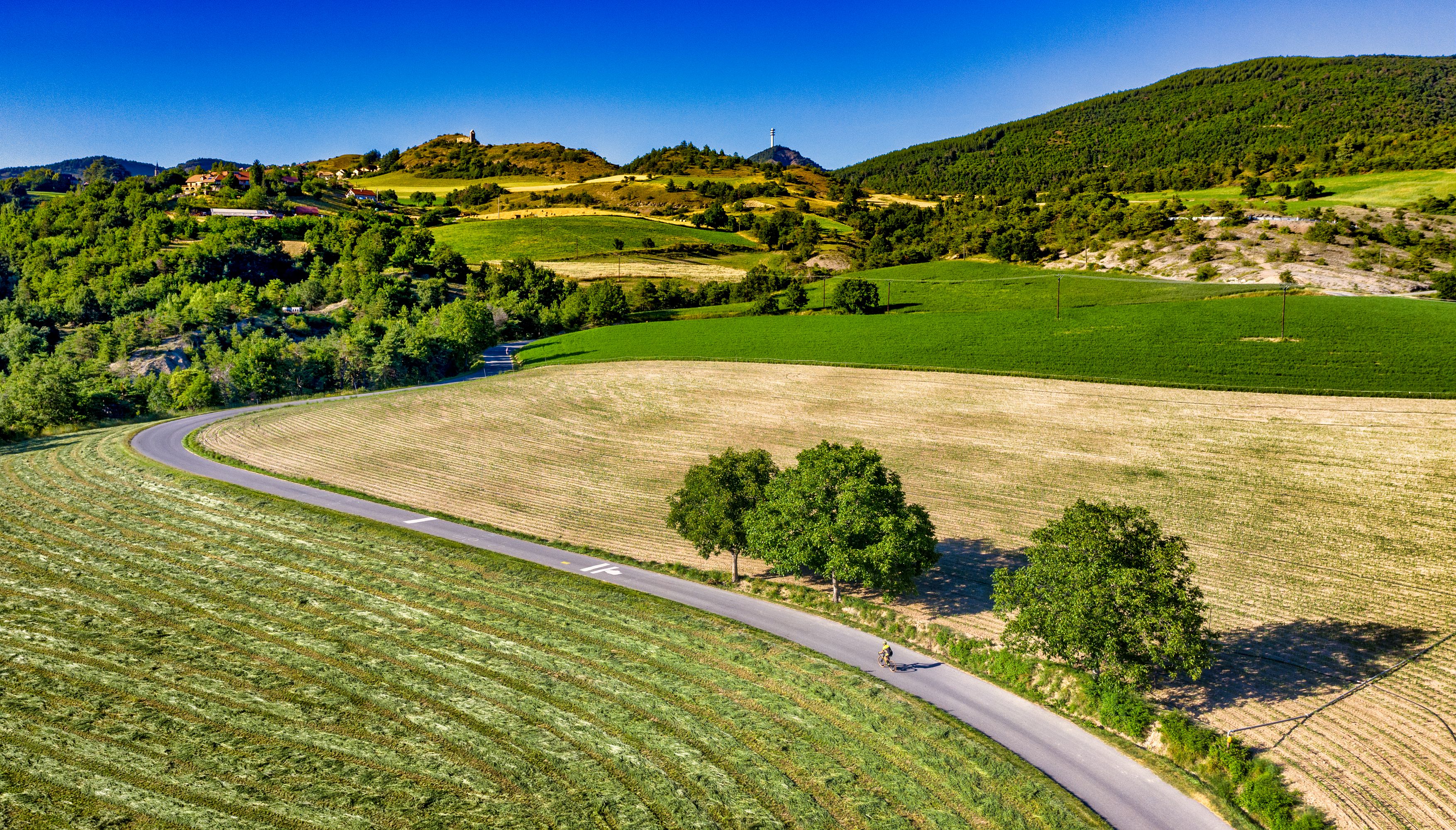 Photo Vélo de route