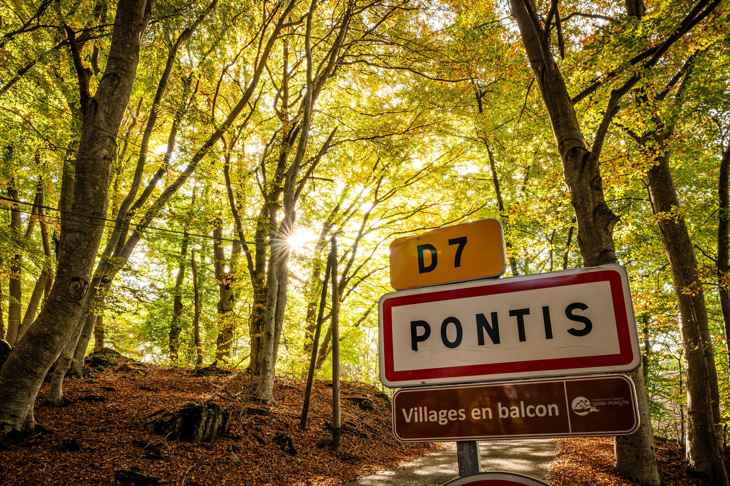 Pontis et sa hêtraie