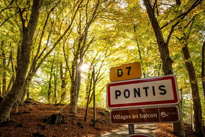 Pontis et sa hêtraie
