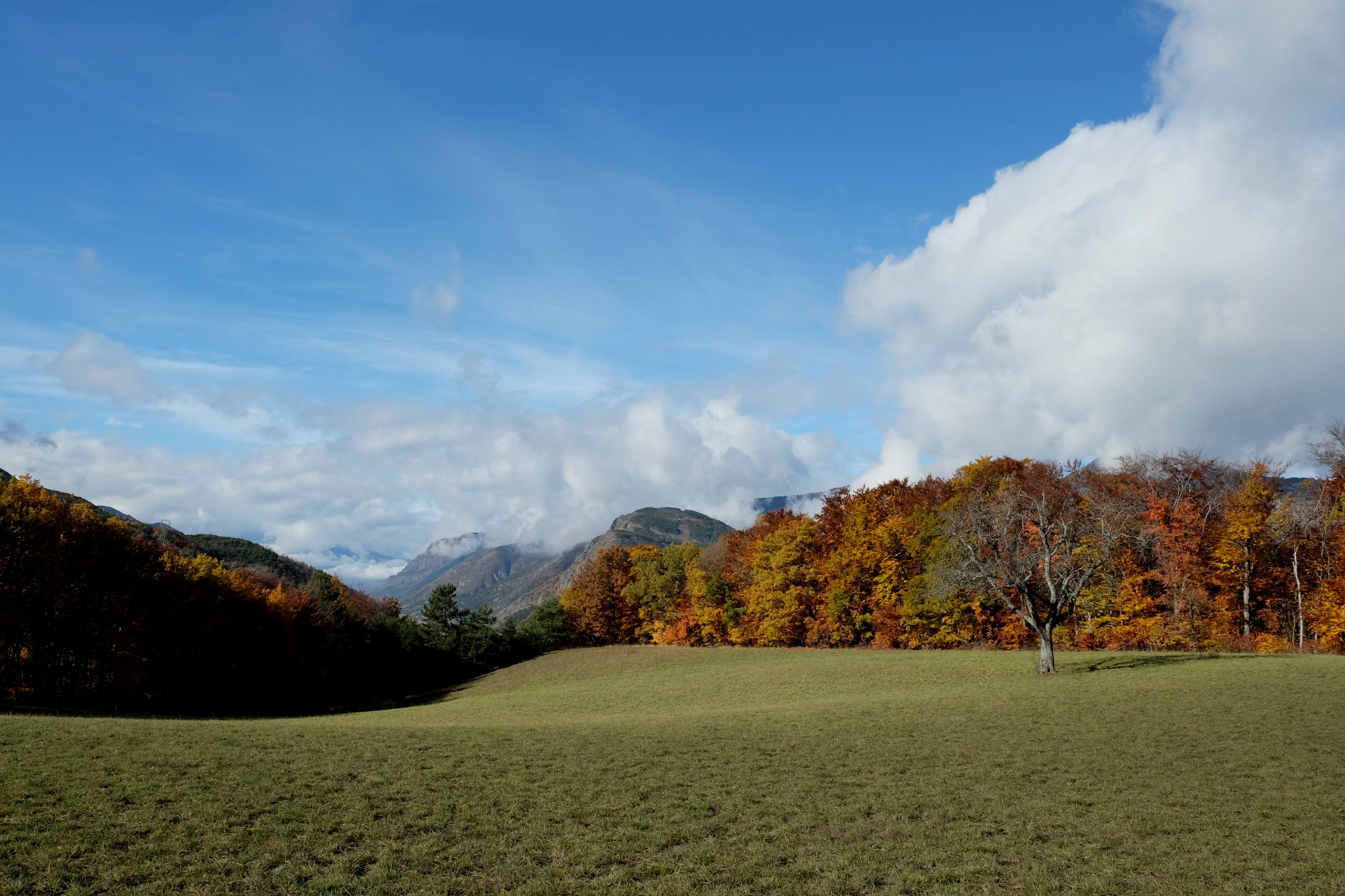 De très beaux paysages dégagés en chemin