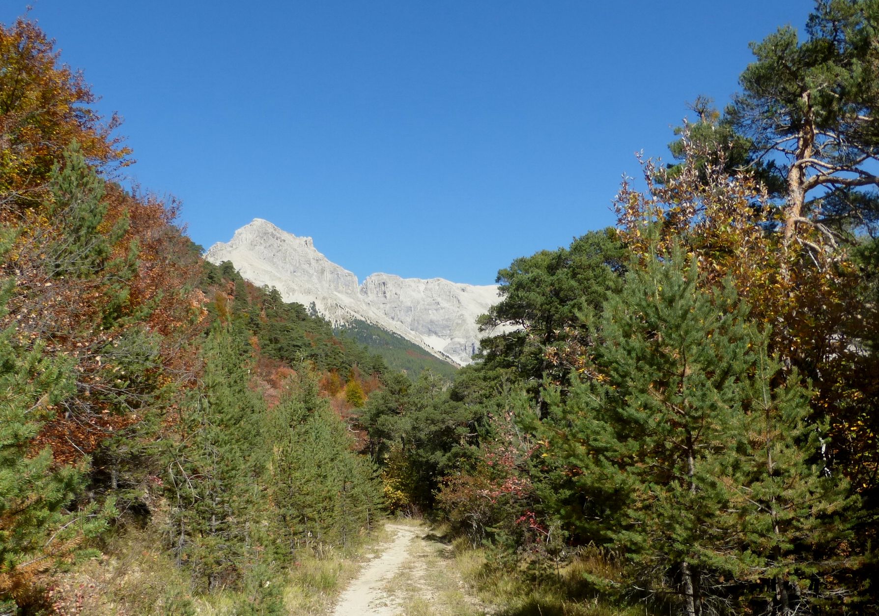 Belle vue sur le Pic de Bure