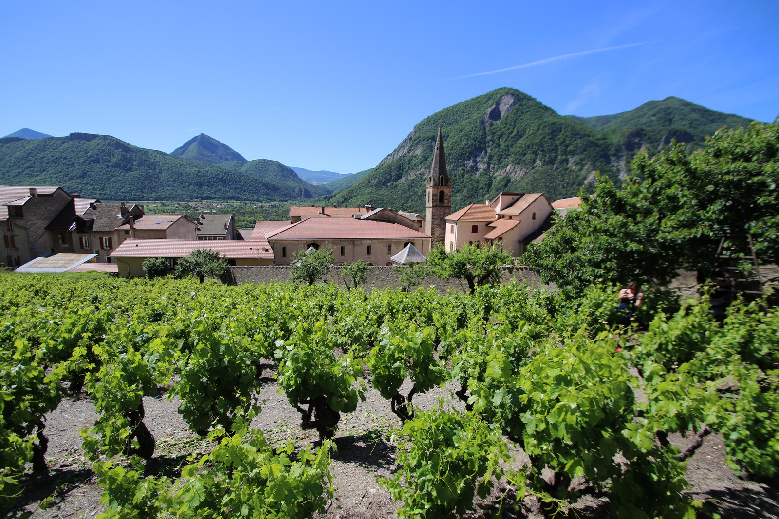 Domaine de la Clochere