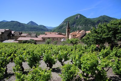 Domaine de la Clochere