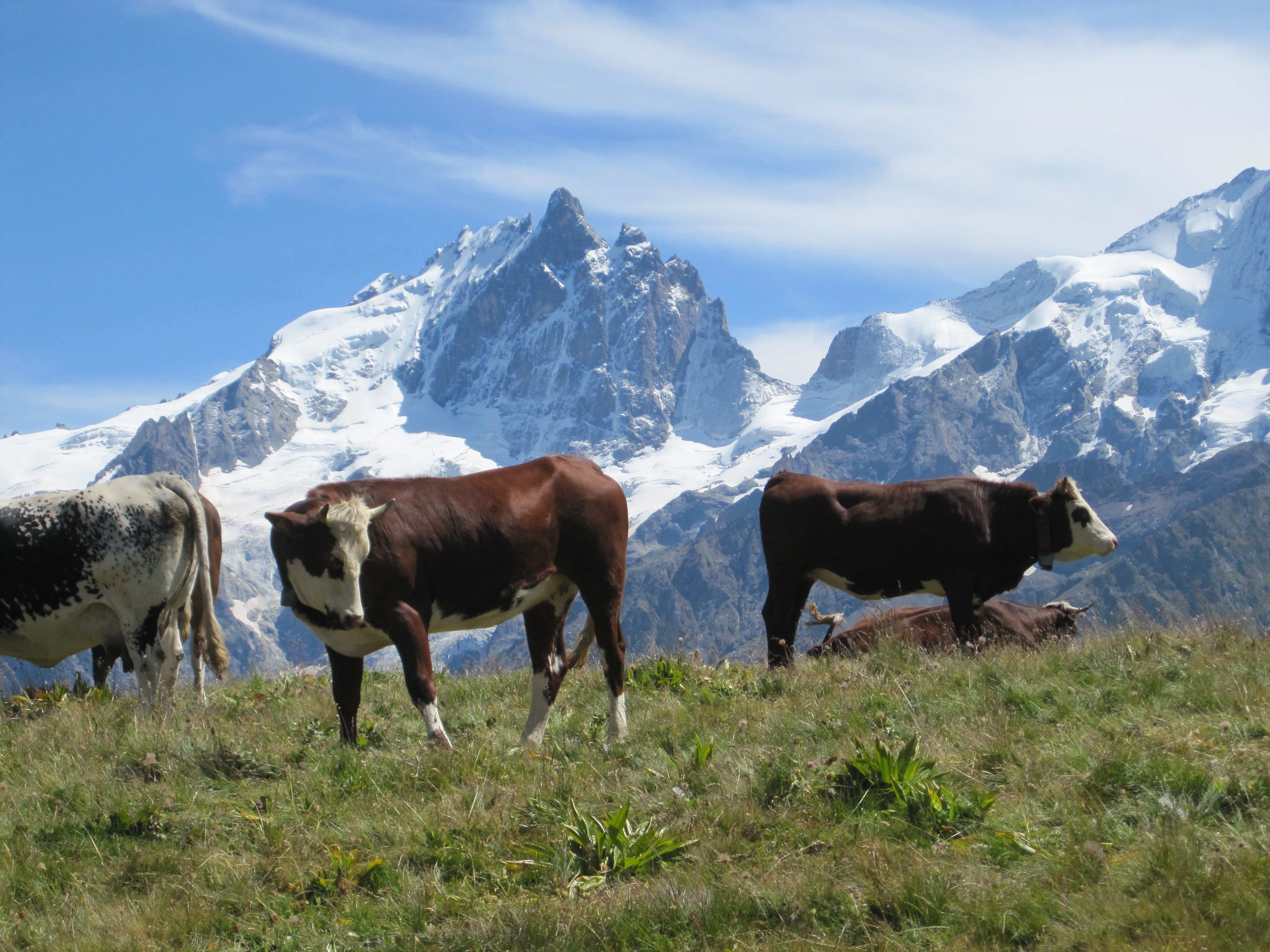 Vue epoustouflante sur les glaciers