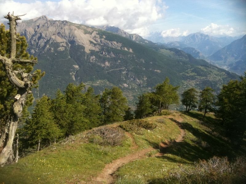 Single-track de la crête du Pénon